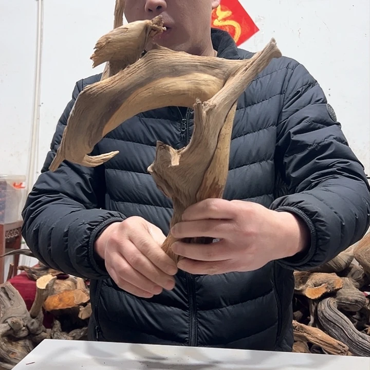 柏木尘**士我们的生活也是如此吧