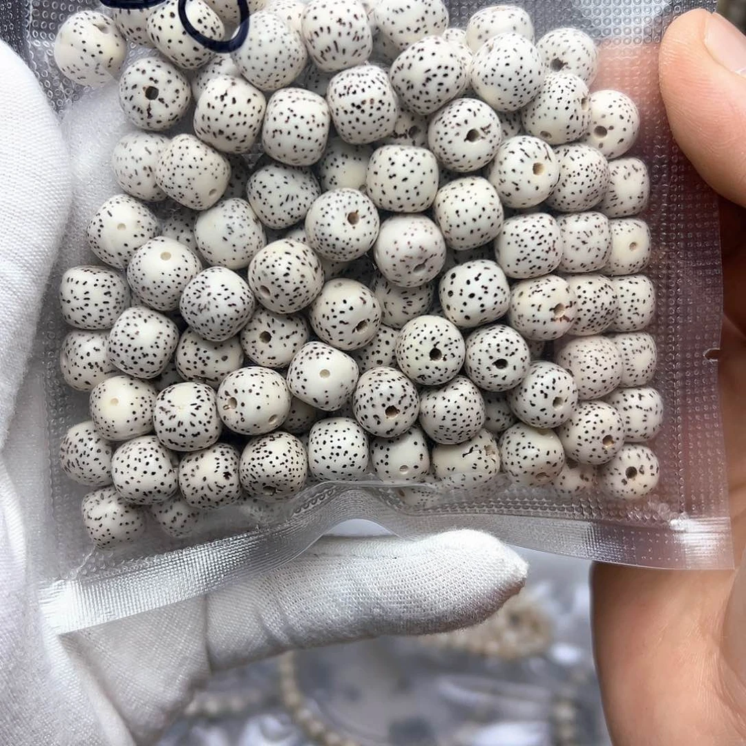 星月菩提吊坠原生态  9×10 散籽  B08