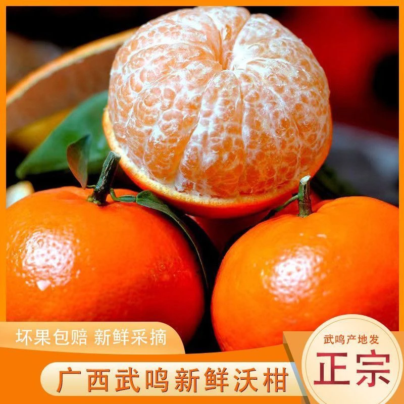 广西武鸣沃柑当季新鲜水果多汁香甜柑橘产地直发