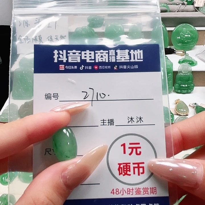 石英质玉未镶嵌颈饰