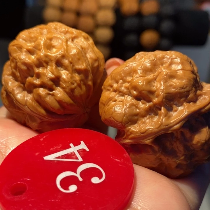 7号链接玉龙金蟾39尺寸