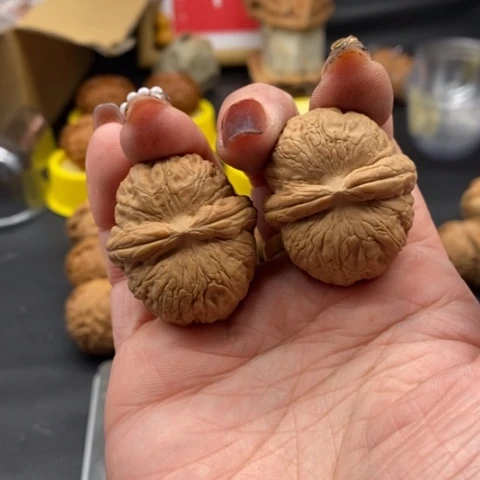 文玩核桃吊坠我***?元宝