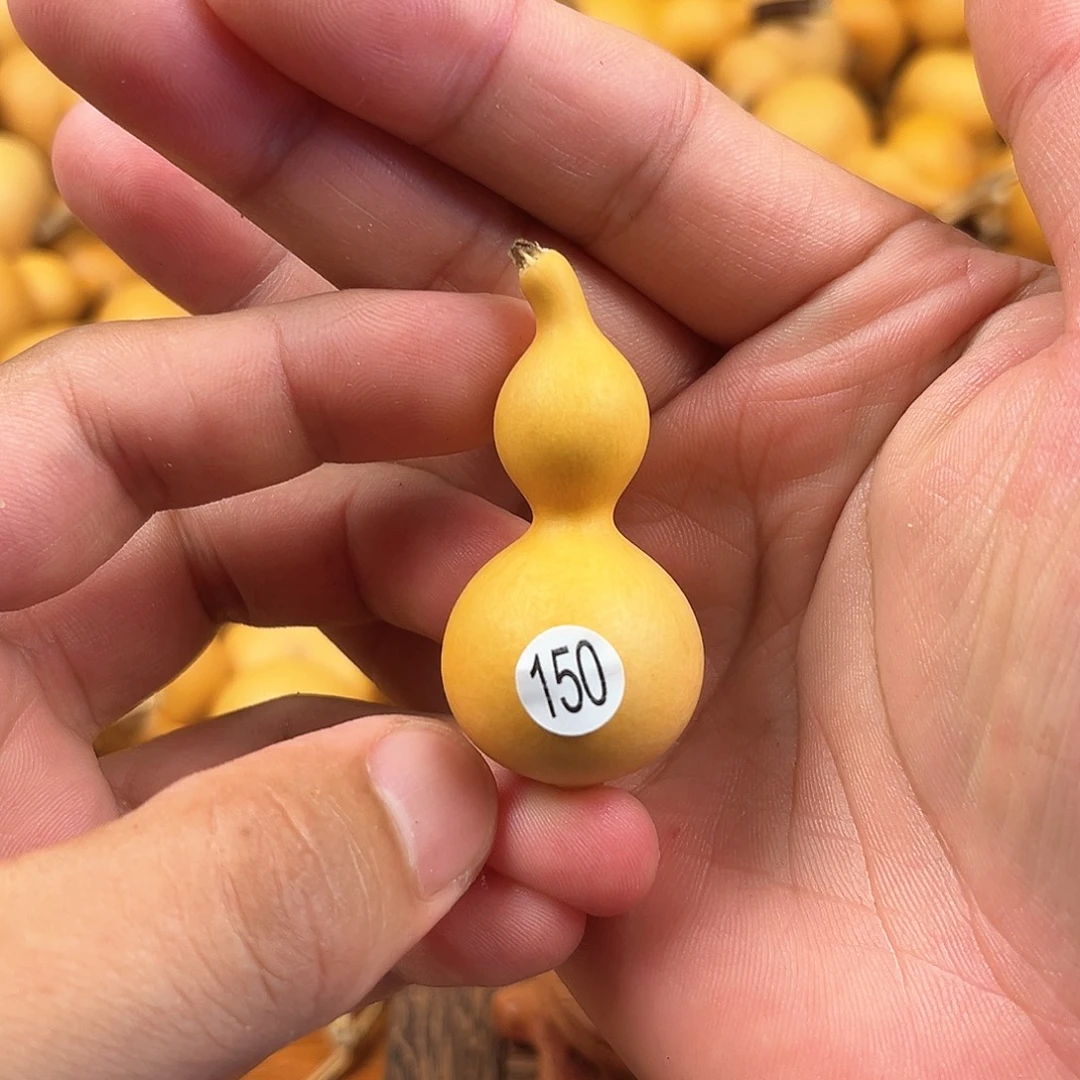 一葫芦葫芦葫芦葫芦150