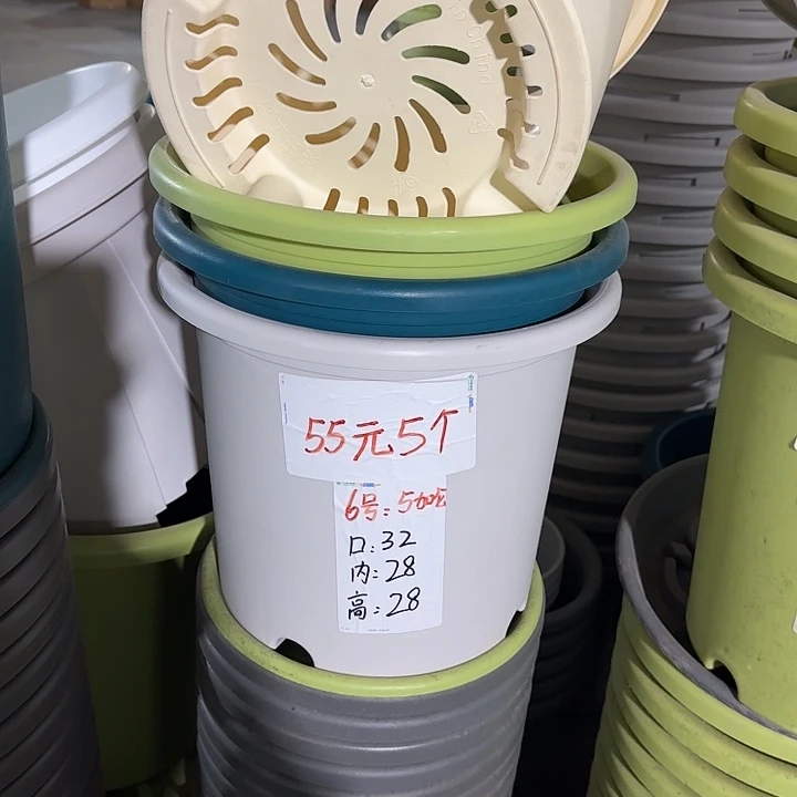 微瑕6#口径32无托果绿7个