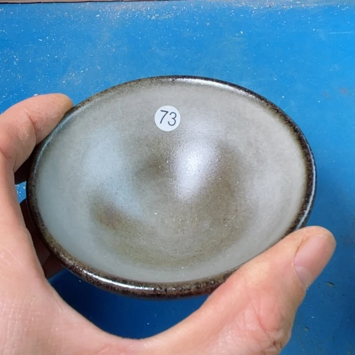 茶宠盏盏灯都是你给我带来