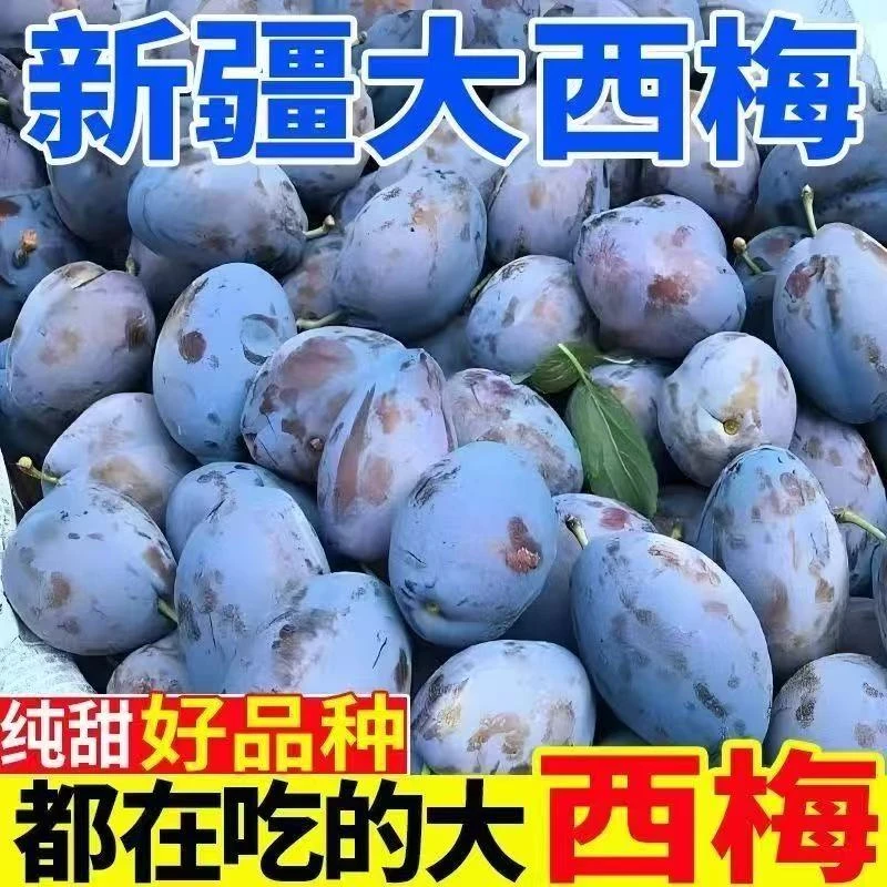 新疆直发2025新果现摘大西梅鲜果正宗西梅5斤甜西梅批发