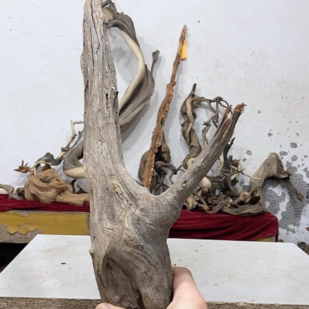 【闪购商品】柏木汁*张我们的目标是成为一个