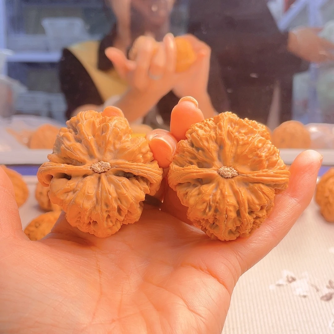 胖*47粗筋素一包的小