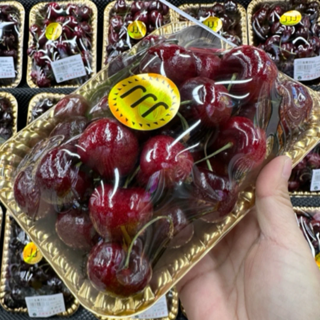 俄八特大3J樱桃 55元一斤俄罗斯8号