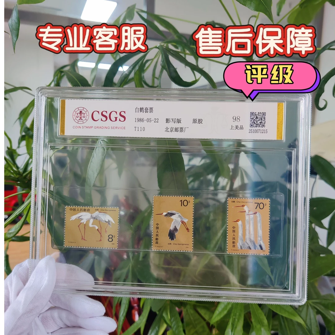 T110白鹤盒装邮票