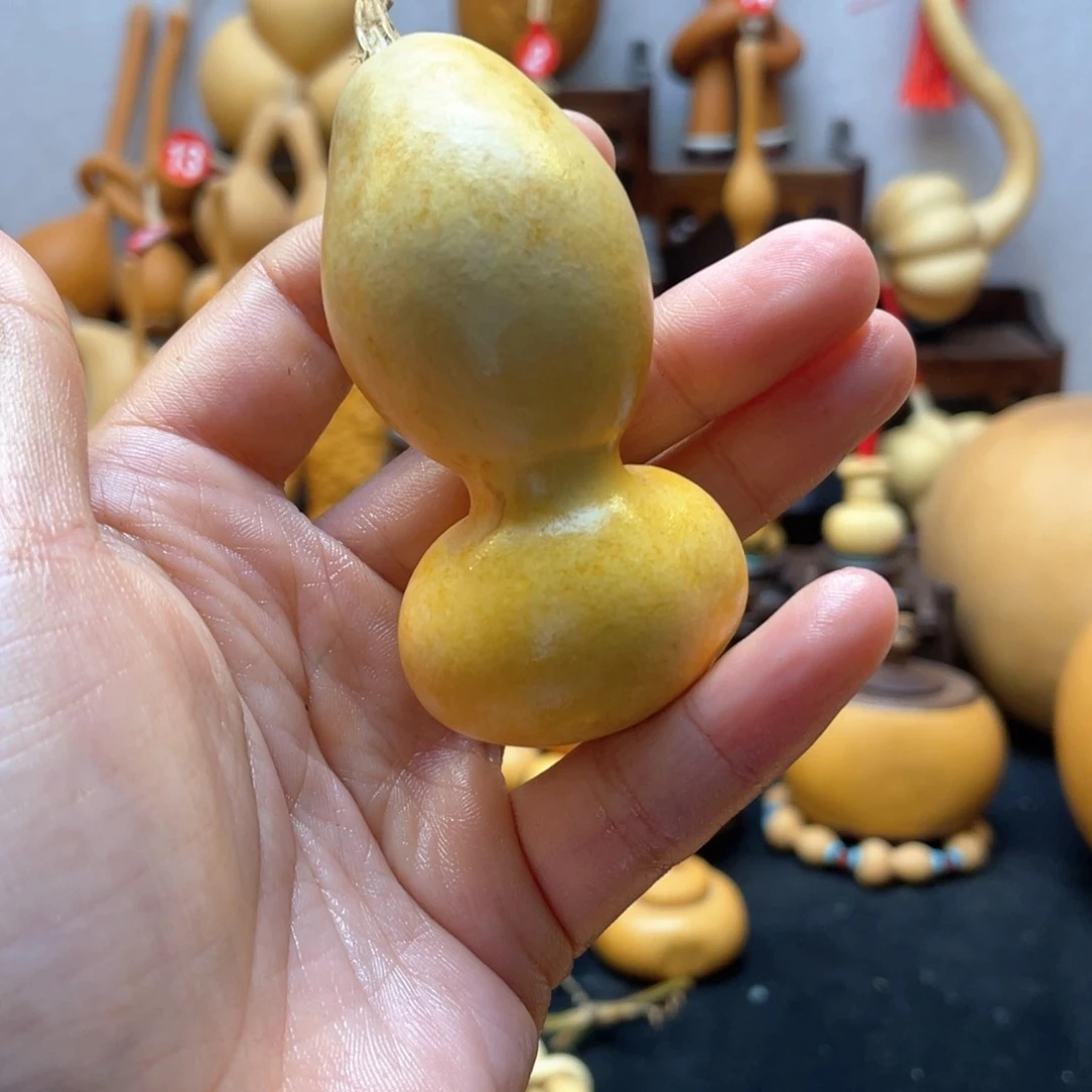 陈*枫大自然的秘密第十一节