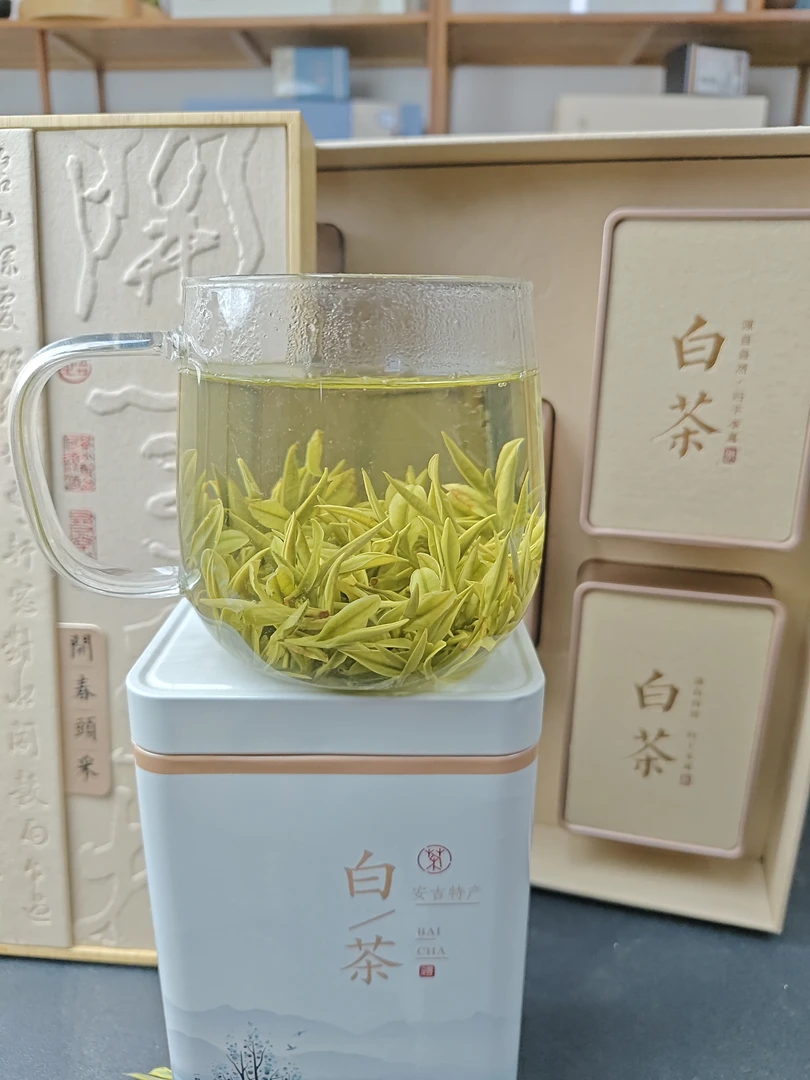 1号【x327】2025年原产地安吉白茶，兰花香小芽