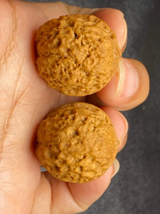 云南铁核桃 27-28尺鱼子球 有天然红阴 发货图片同款 随机一对