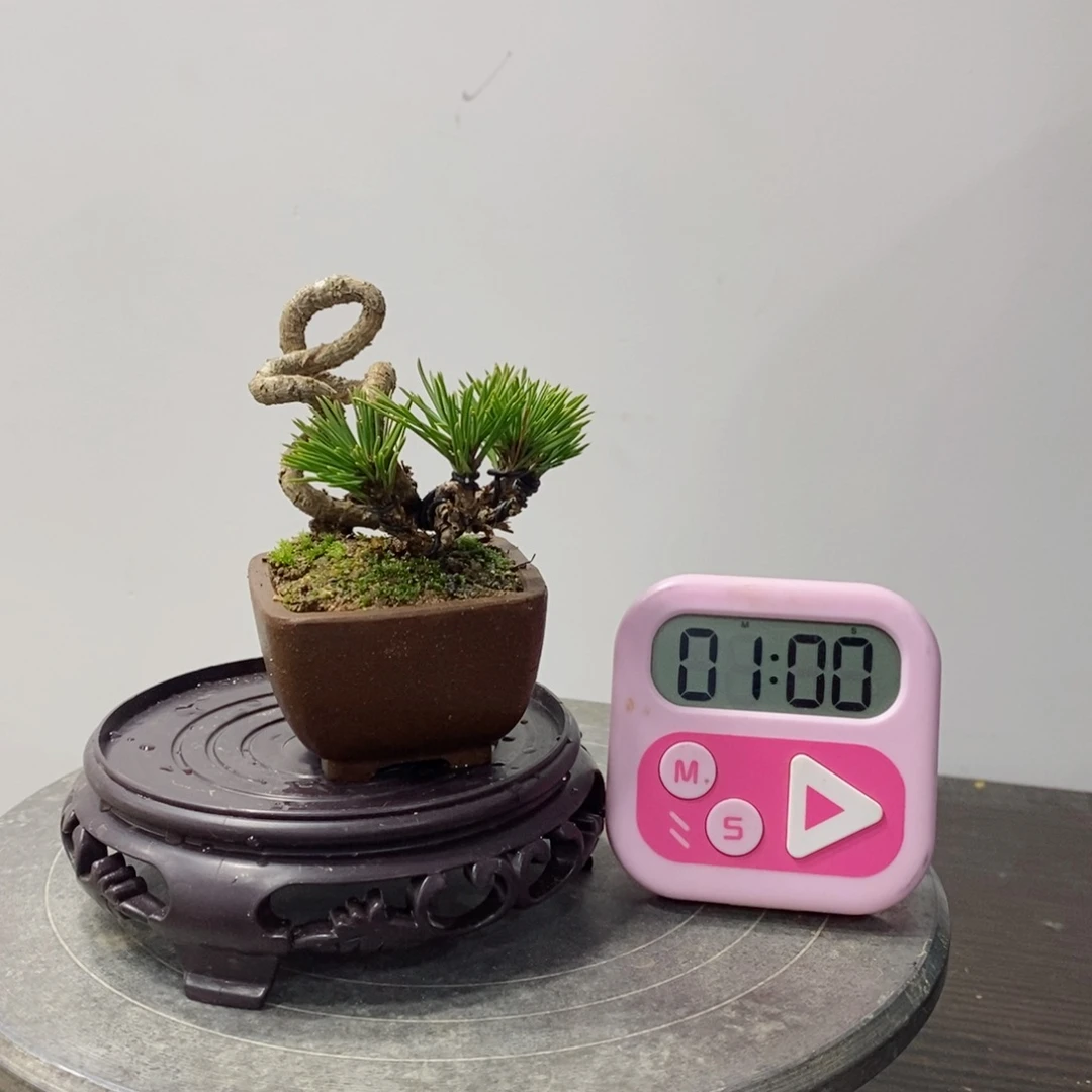 手工艺品琉璃?****◦