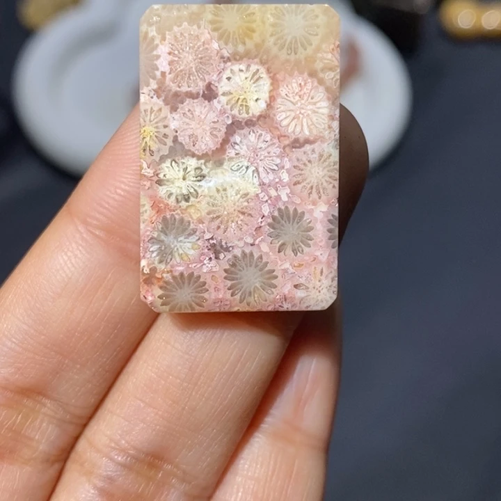 【闪购商品】未镶嵌珊瑚玉硅化玉