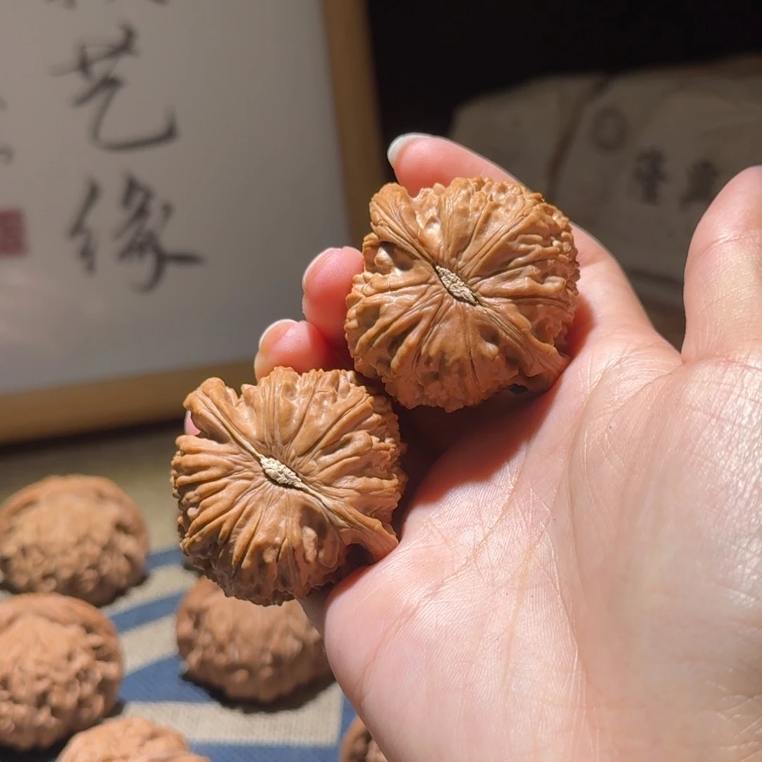 核桃把件壹*42白狮子