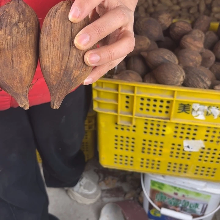 库克吊坠库克五十六