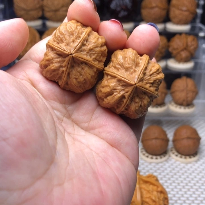 文玩核桃把件56小饼干四楞34尺