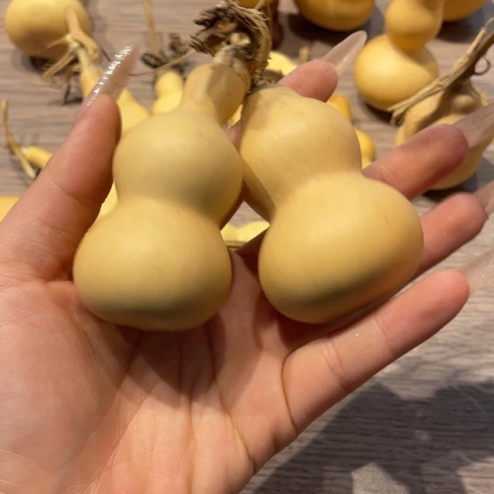 尚****猫葫芦葫芦葫芦葫芦