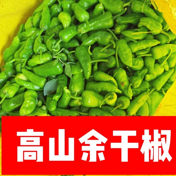 江西自种新鲜余干辣椒薄皮特辣青椒火锅配菜