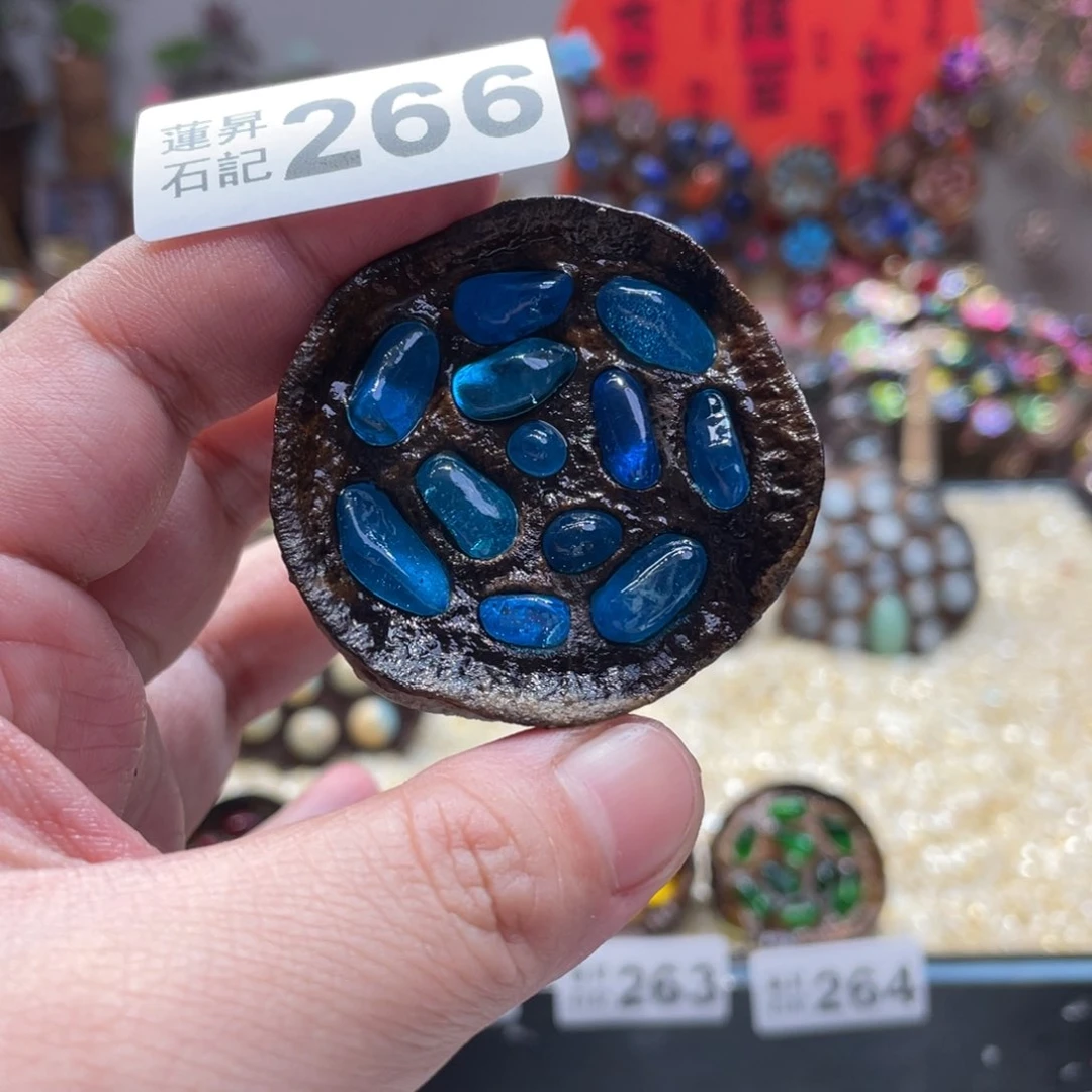 核桃木/黑胡桃（胡桃木）266