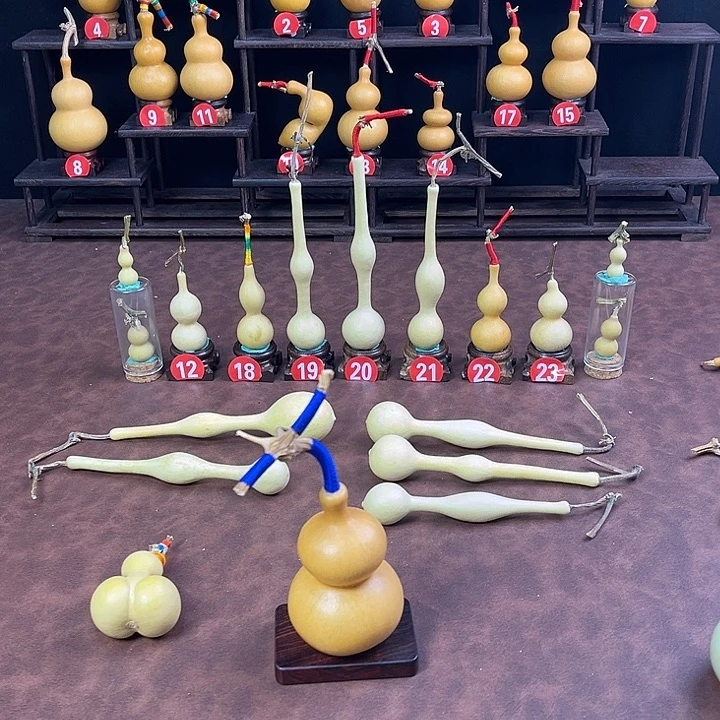 M***龚葫芦笙在哪一家公司