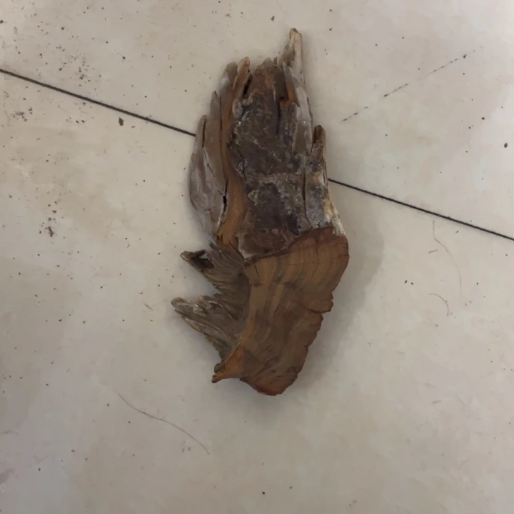 柏木（崖柏）声**音太行崖柏白粉意境根料