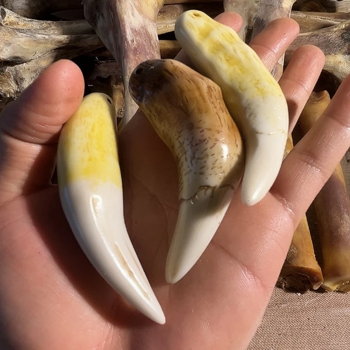 yyhu骨头做的牙大牙大牙