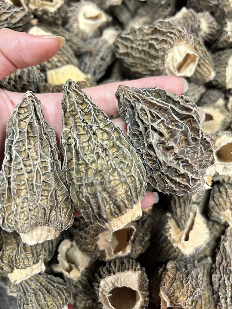 【飞飞精选】 草莓型大羊肚菌 香味浓郁