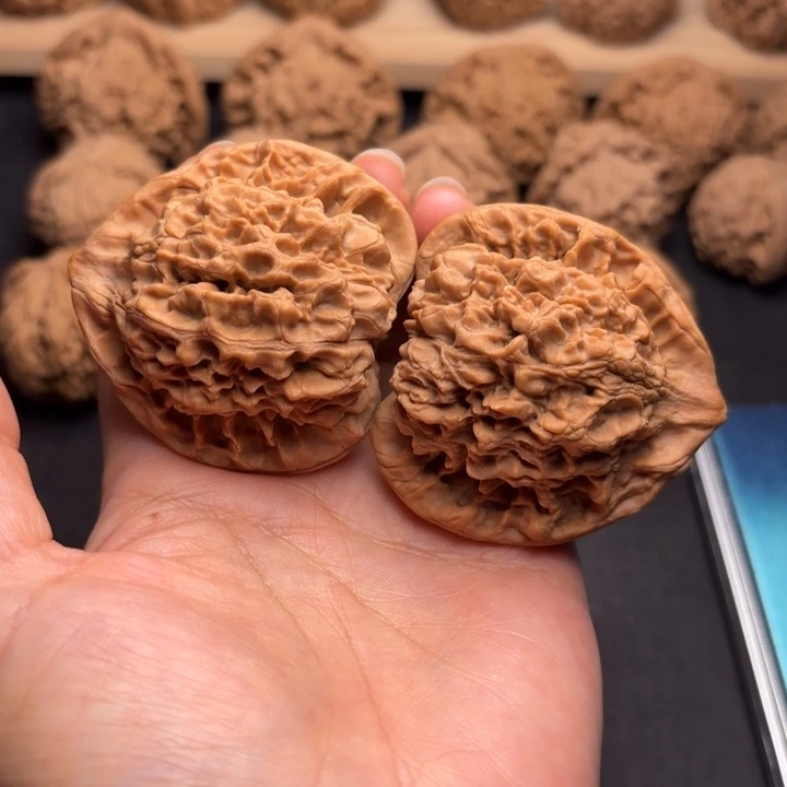 把件文玩核桃49官帽克重58.5