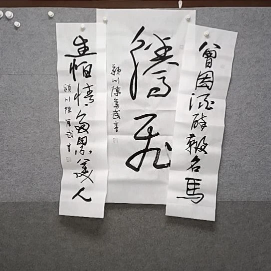 书法腾飞三尺整整张忠堂书法作品