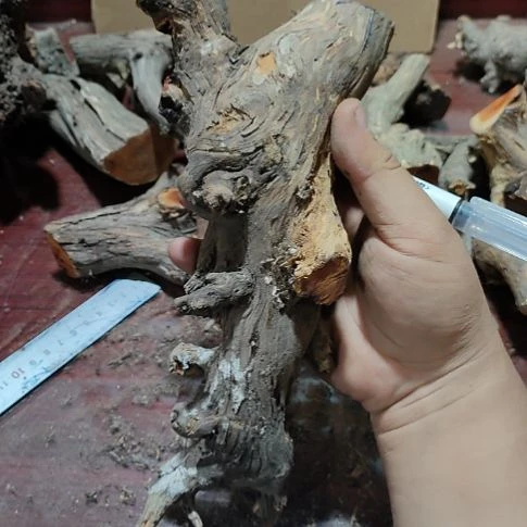 淡***尘核桃木/黑胡桃(胡桃木)