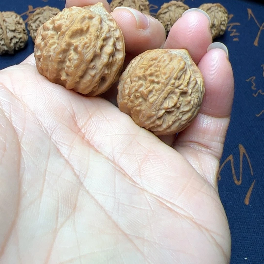 文玩核桃把件秦岭野生植物核桃