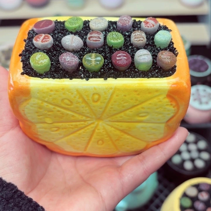 508零下地区记得拍保温箱