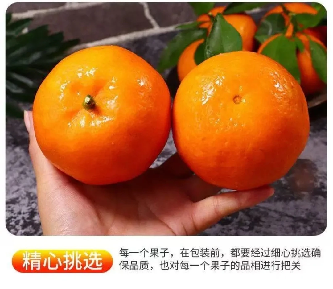 （O武呜沃柑K）当季沃柑香甜多汁现摘现发净果9斤（花皮不影响口感）