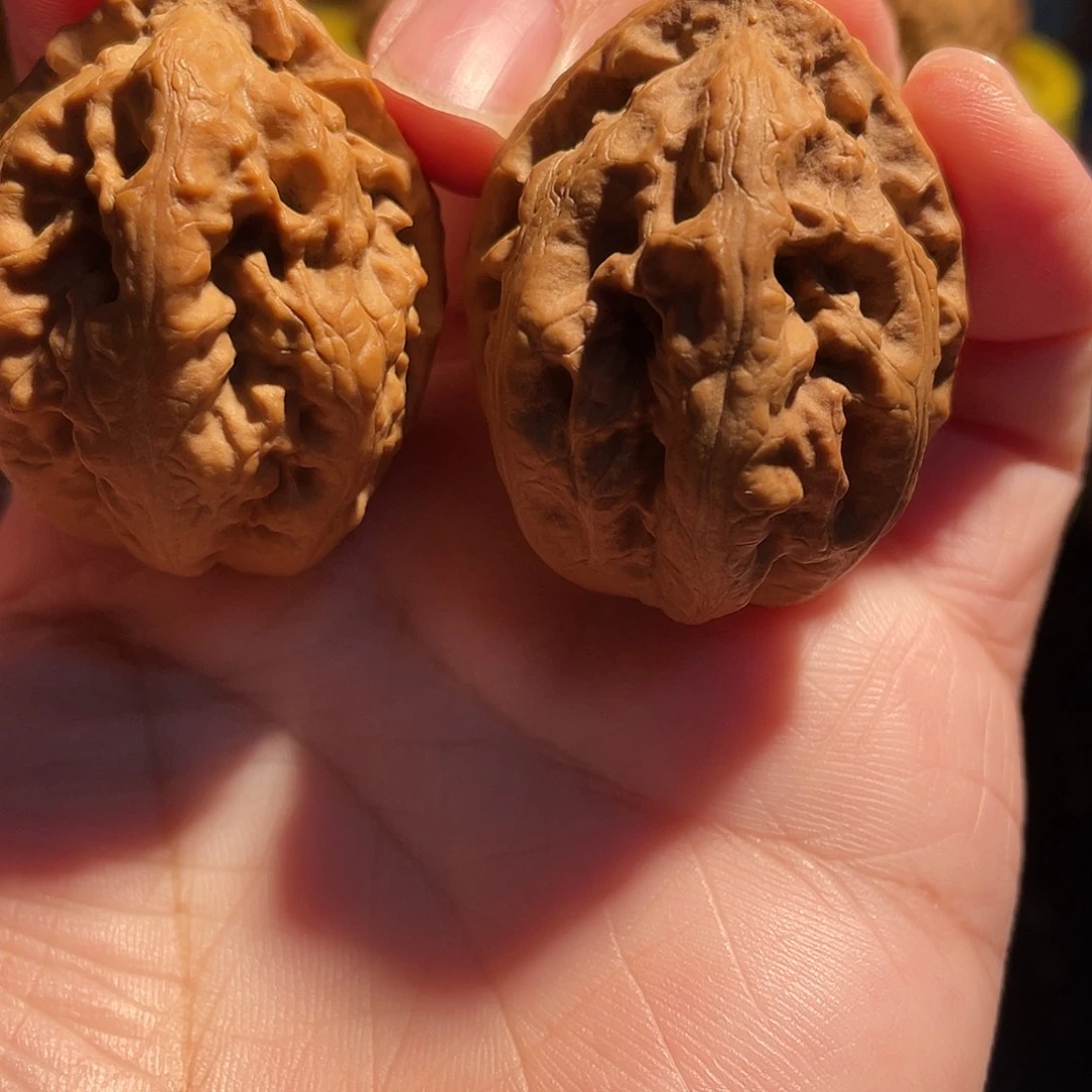 文玩核桃吊坠壁虎纹