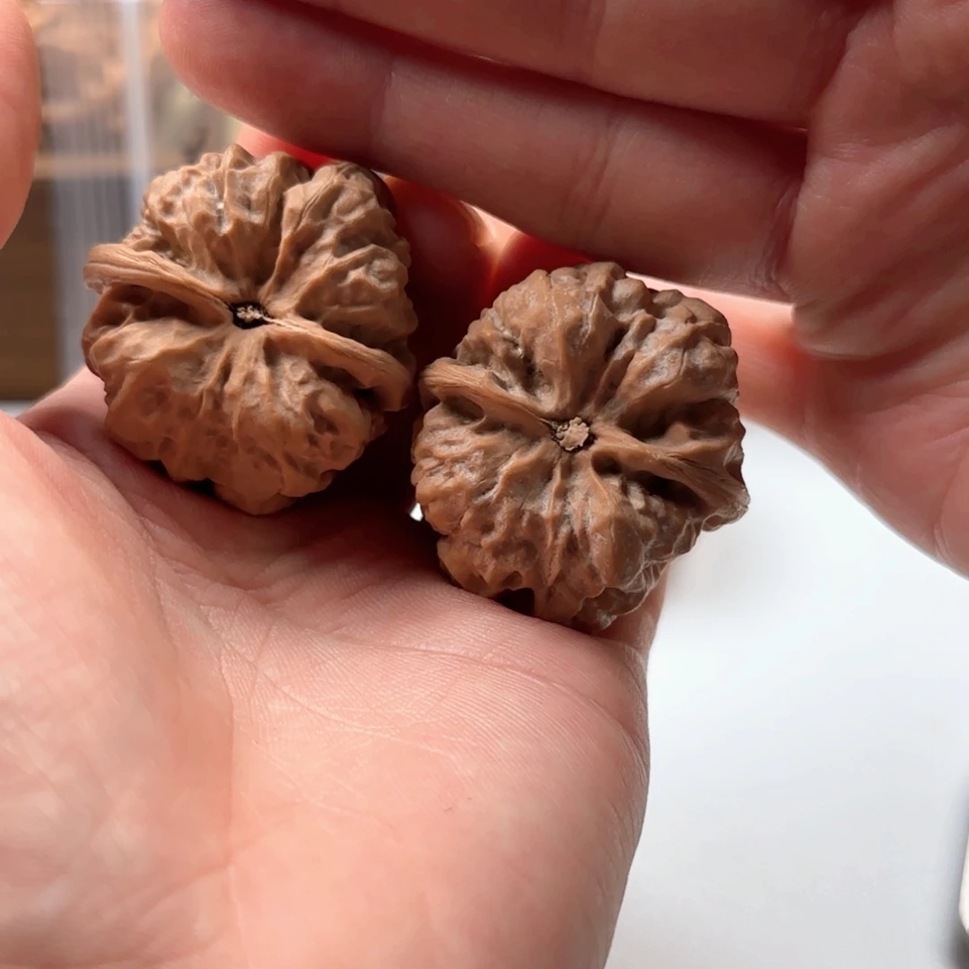 把件核桃延庆蛤蟆