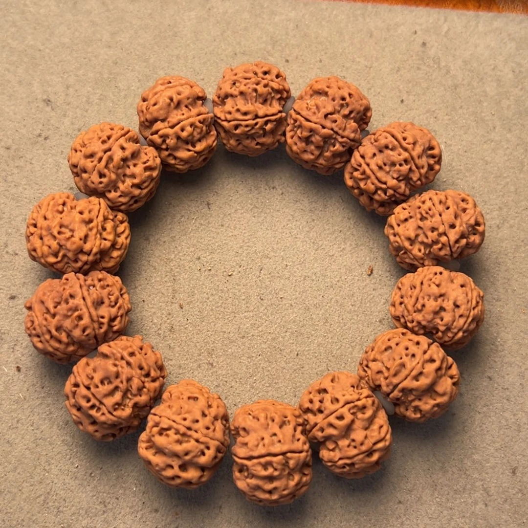 菩提18号金刚菩提六瓣23