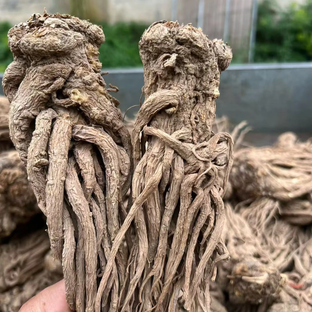 整条当归岷县本土当归无硫自然晾晒