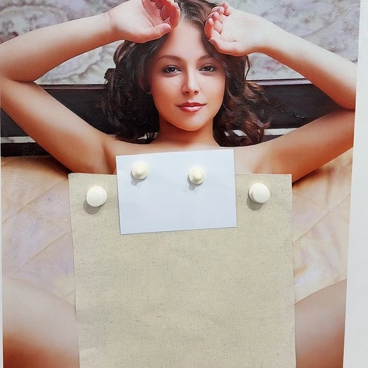 金寨画作欣赏作品