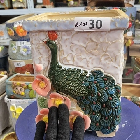 【闪购商品】红陶1