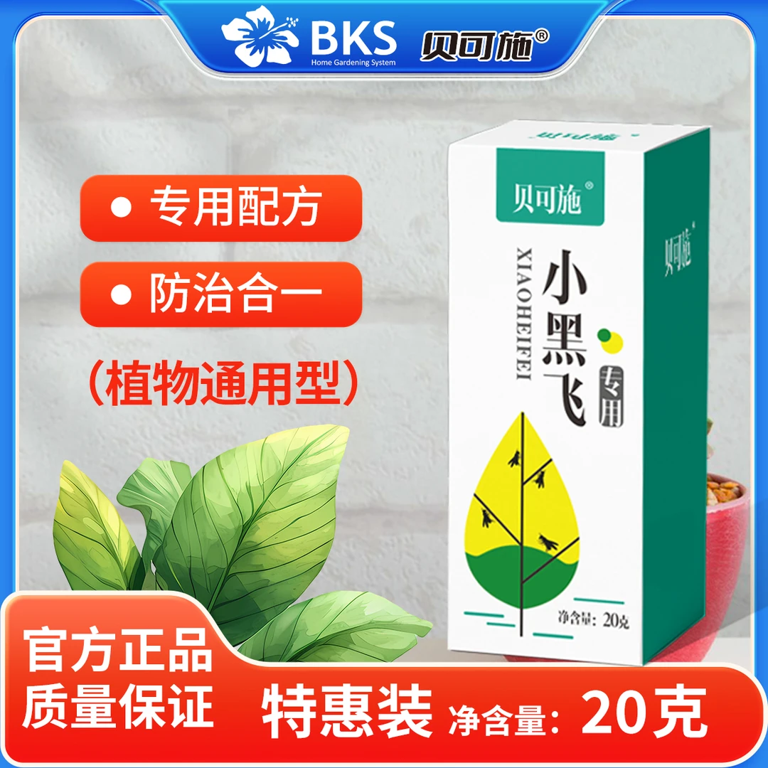 贝可施【拍2发3】小黑飞专用植物绿植盆栽家庭园艺花卉