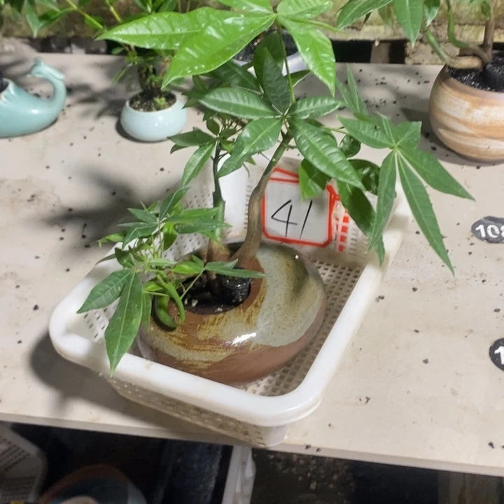 云*退款拉黑一物一拍41