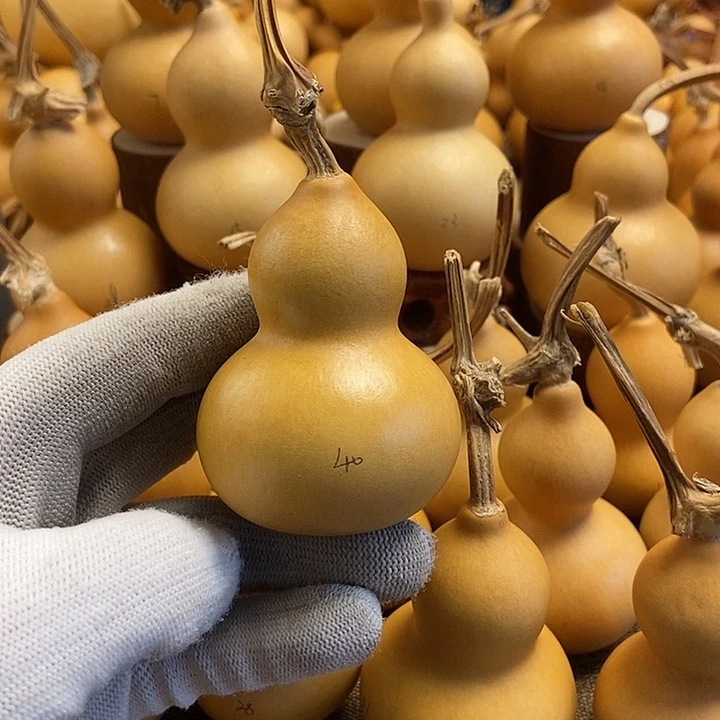 文玩葫芦 完美主义者 慎拍40