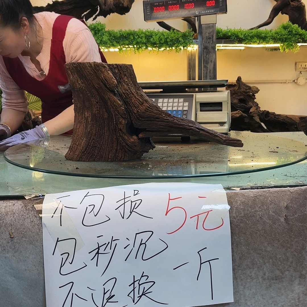 柚木入**心沉木鱼缸造景