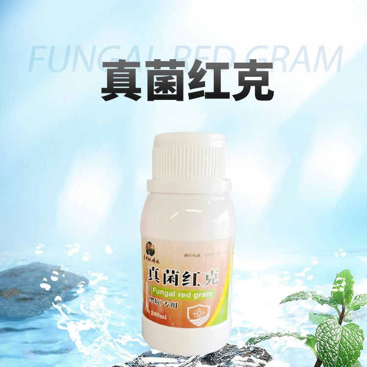 【天哥专享】真菌红克黑坑常备系列产品钓场适用水霉水产使用