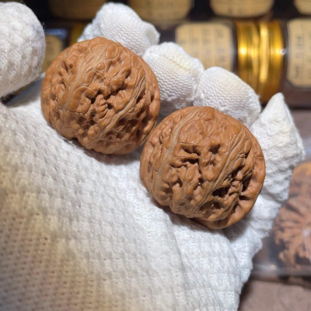 核桃43元宝bbbbbbb