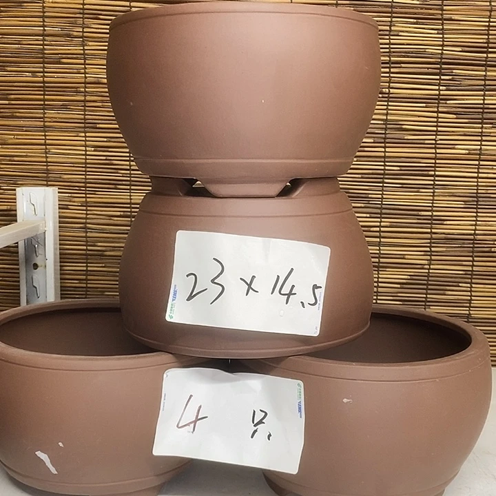 紫砂花盆我在外面