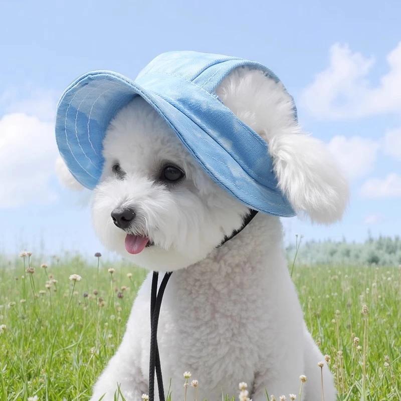 狗狗帽子可爱宠物夏季外出遮阳帽比熊泰迪博美狗狗防晒帽外出用品