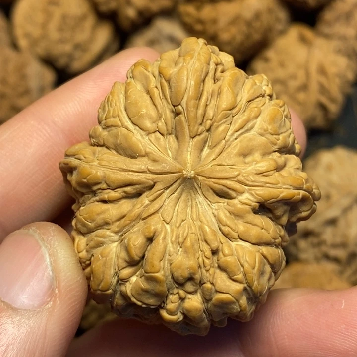 文玩核桃吊坠陌****双文玩核桃异形单只